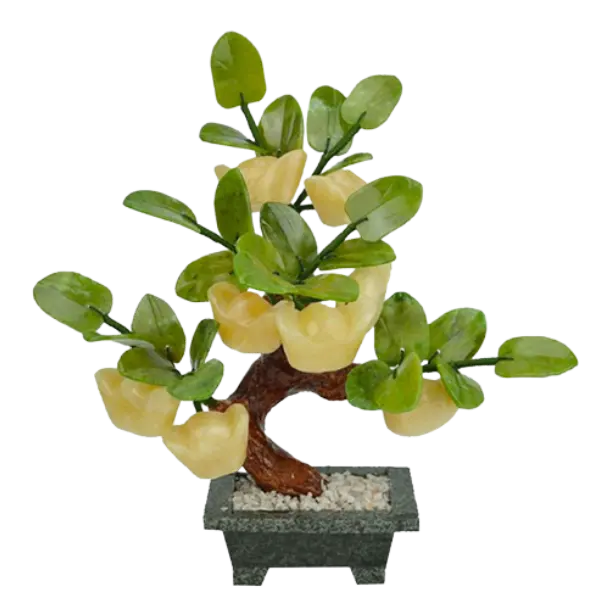 Bonsai Nén vàng 8 Quả 003