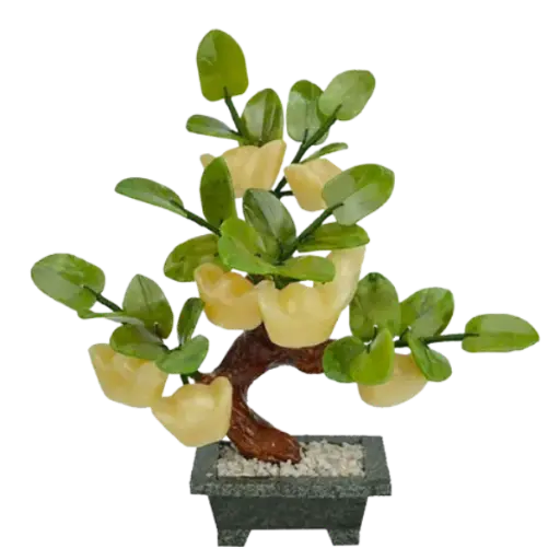 [: ADA.T04.003] Bonsai Nén vàng 8 Quả 003